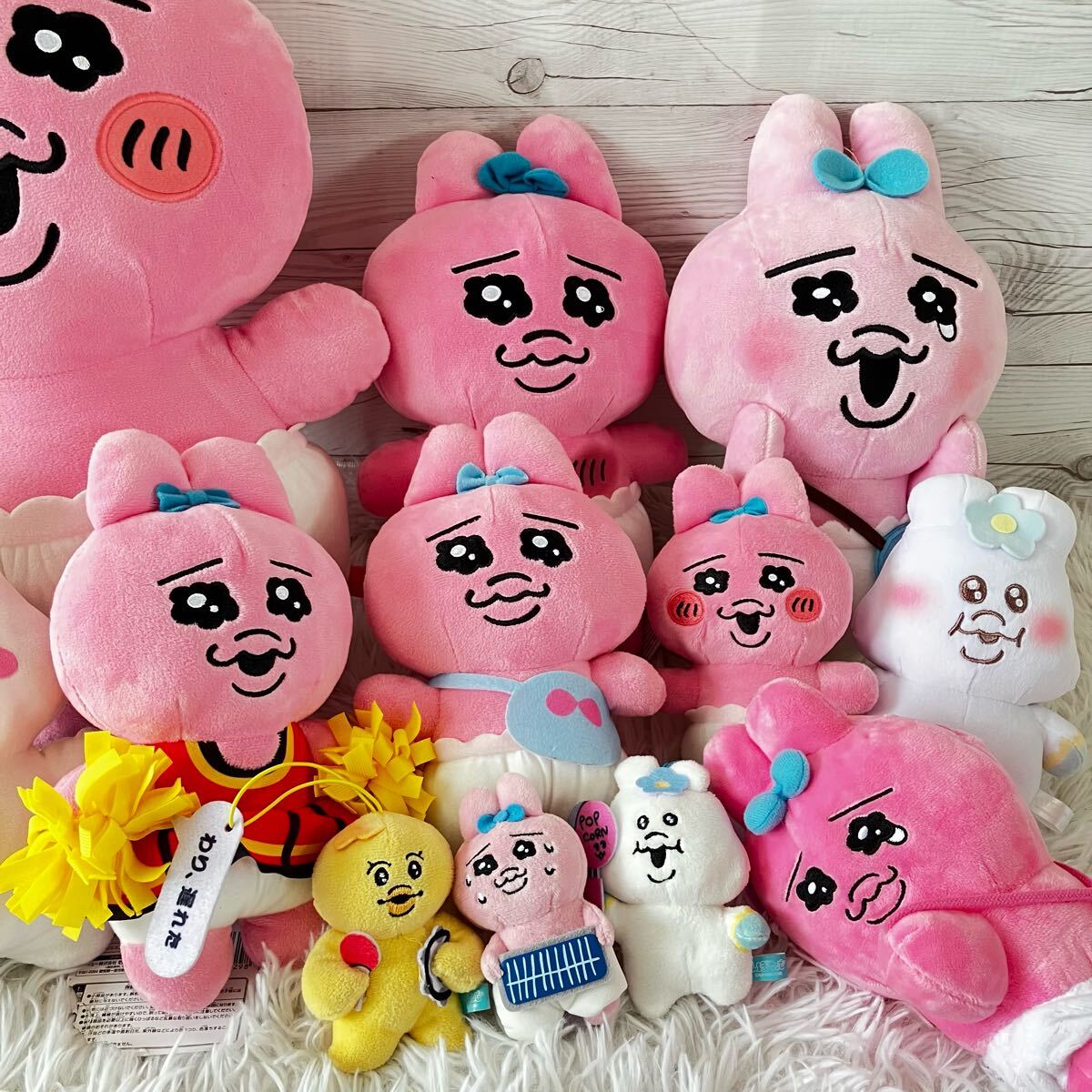 おぱんちゅうさぎ 12点セット ぬいぐ ぬいぐるみ んぽちゃむ マスコット うさぎ