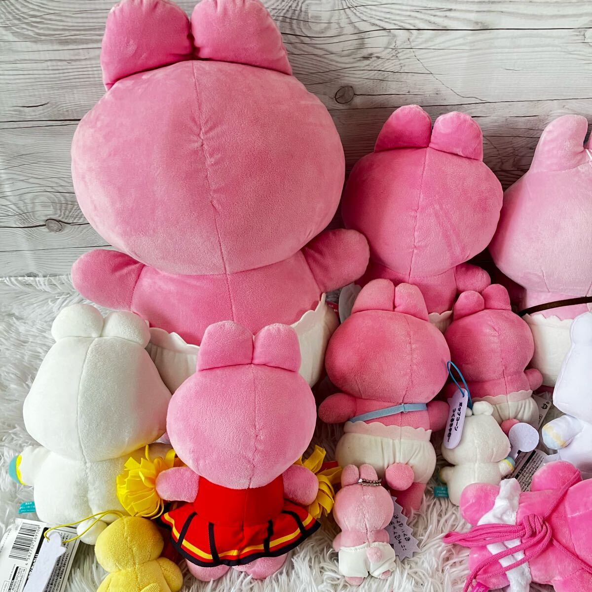 おぱんちゅうさぎ 12点セット ぬいぐ ぬいぐるみ んぽちゃむ マスコット うさぎ