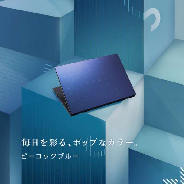  новый товар ASUS E210KA E210KA-GJ01BWS 11.6 type Celeron N4500 eMMC128GB память 4GB Windows 11 Web камера Office установка 