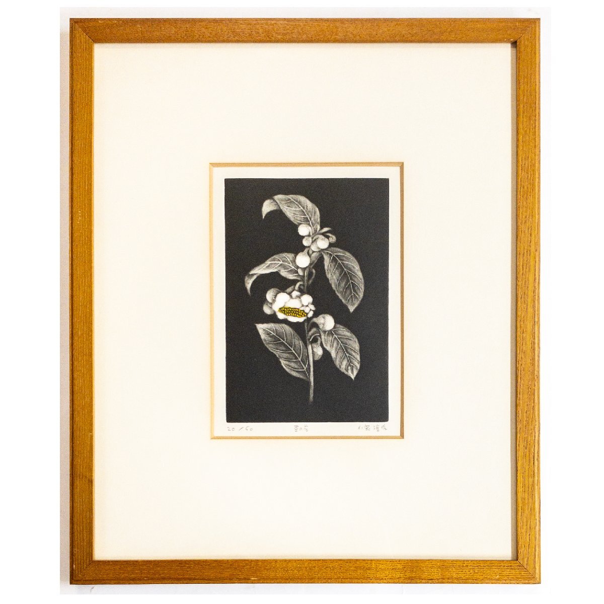 SHIN】小泉淳作 「茶の花」 銅版画 ed.20/50 真作保証 額装 SHIN】小泉淳作 「茶の花」 銅版画 ed.20/50 真作保証 額装