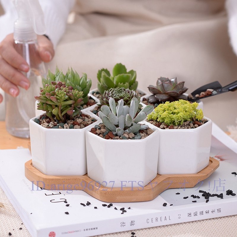 ★新品植木 鉢 7個(gè) セット トレイ プランター バルコニー 部屋 室內(nèi) 多肉 植物 裝飾 インテリア 置物 オブジェ オフィス