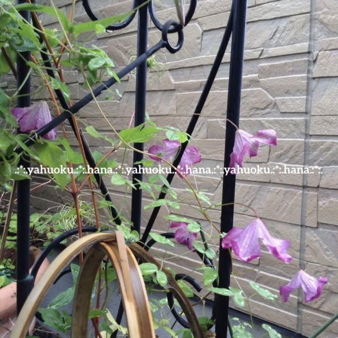 item_image_9