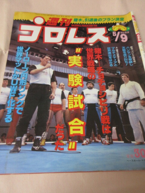 「週刊プロレス　NO.313　1989．5／9」鶴田対天龍　ライガー　鶴田対ハンセン三冠統(tǒng)一　ベースボールマガジン社 