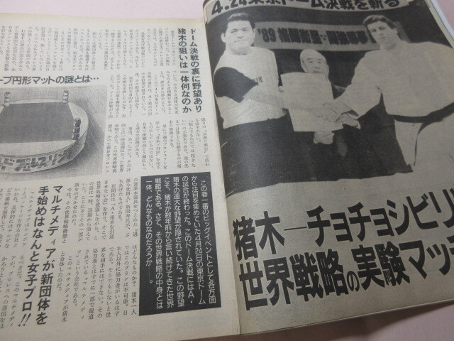 「週刊プロレス　NO.313　1989．5／9」鶴田対天龍　ライガー　鶴田対ハンセン三冠統(tǒng)一　ベースボールマガジン社 