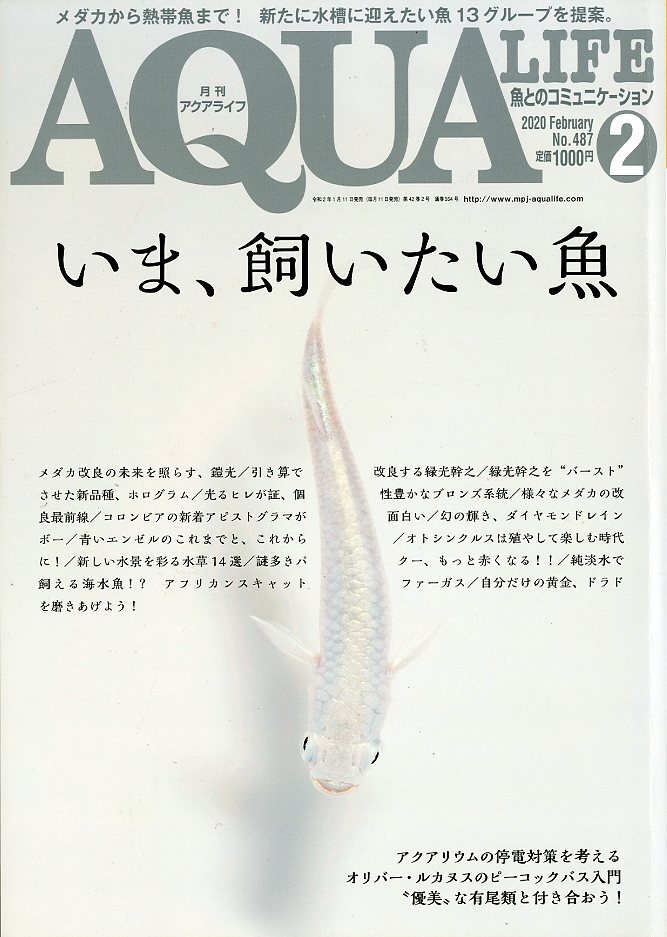 アクアライフ　?。玻埃玻澳辏苍绿枴⊥◣啠担担刺?　