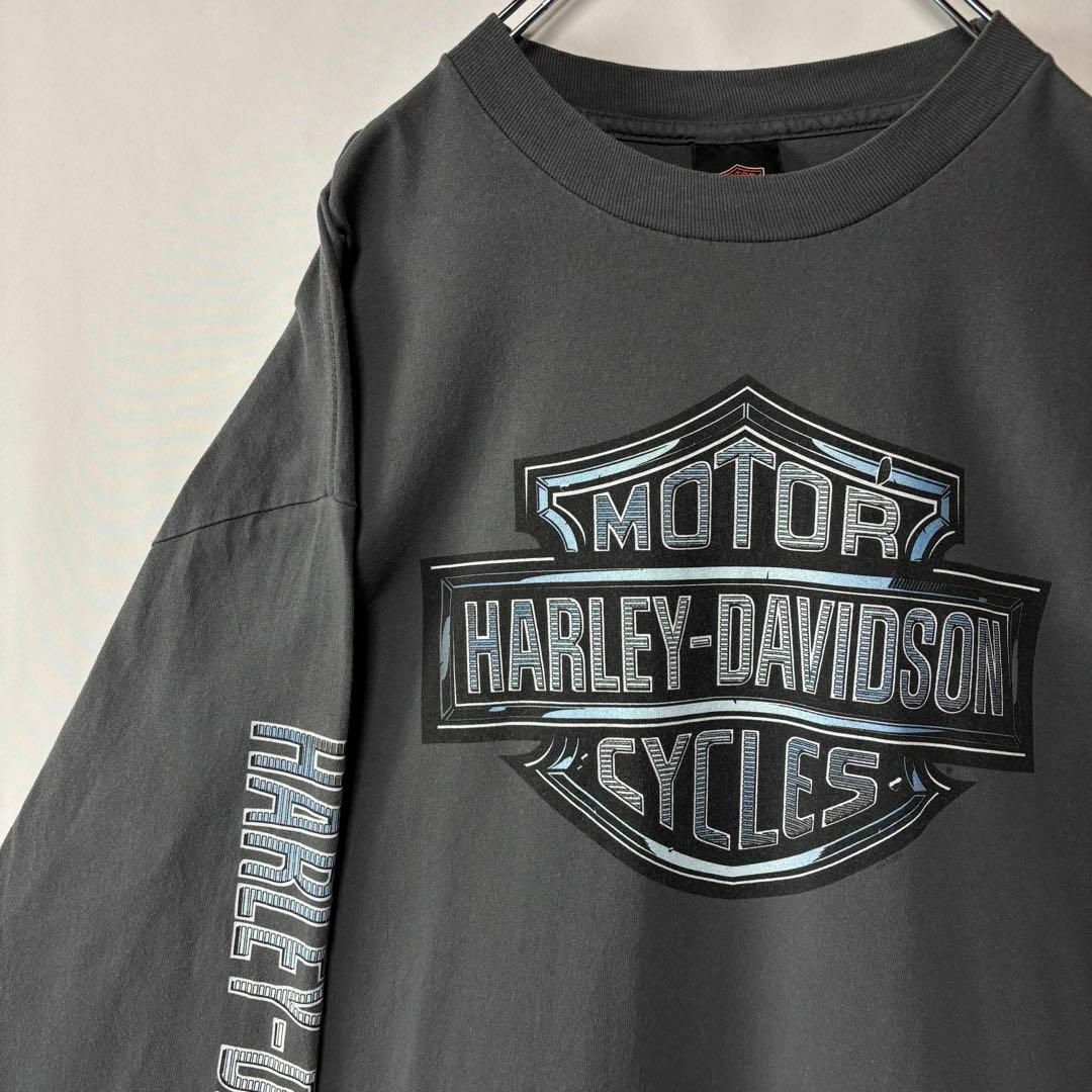 メキシコ製　ハーレーダビッドソン　ロングTシャツ　XLサイズ　ロンT グレー