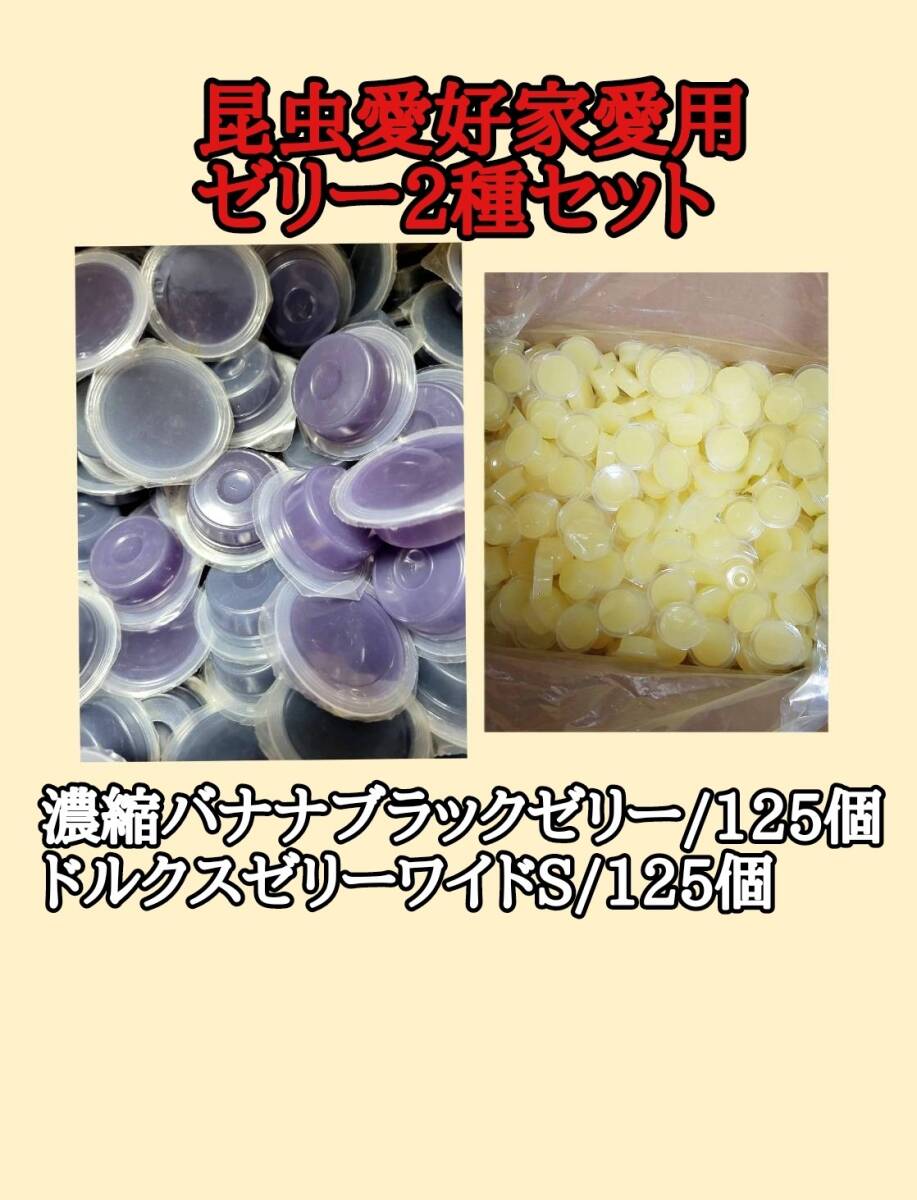 フジコン 昆虫ゼリー 濃縮バナナブラックゼリーワイドS16g125個 ドルクスゼリーワイドS125個 オオクワ カブトムシ モモンガ ハリネズミ