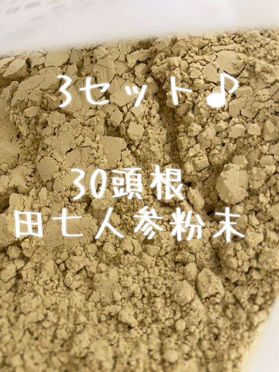 3コセット！雲南省産田七人参粉末30頭根 300g 雲南省文山産 厳選天然栽培 三七人参 田七人参 雲南省文山産 三七人参 厳選天然栽培 田七人参