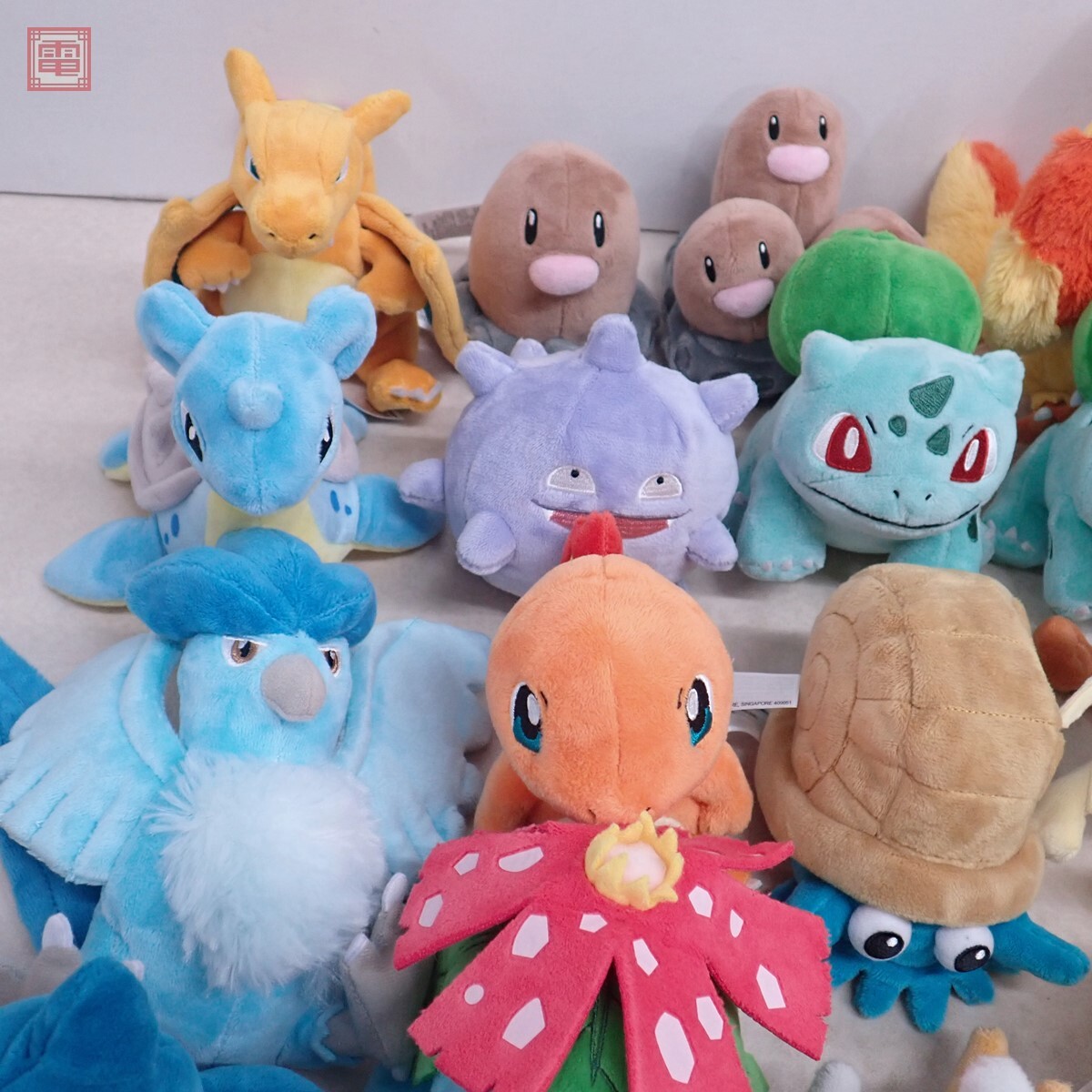 ポケモンセンター pokemon fit カントー地方 ぬいぐるみ まとめ ポケモンセンター pokemon fit カントー地方 ぬいぐるみ まとめ