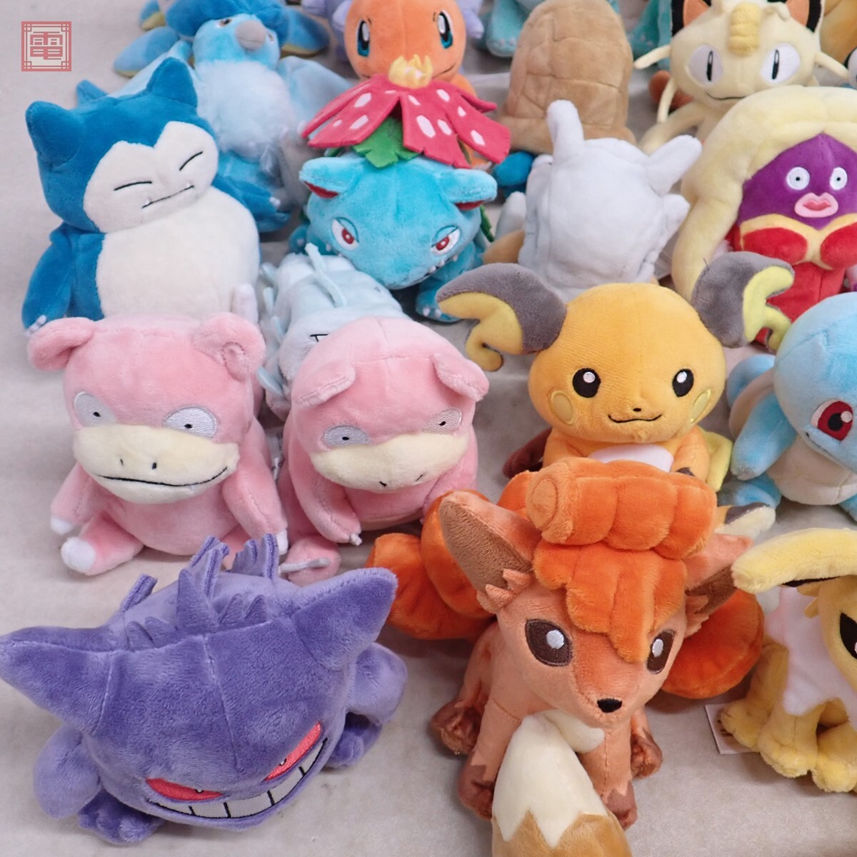 ポケモンセンター pokemon fit カントー地方 ぬいぐるみ まとめ ポケモンセンター pokemon fit カントー地方 ぬいぐるみ まとめ