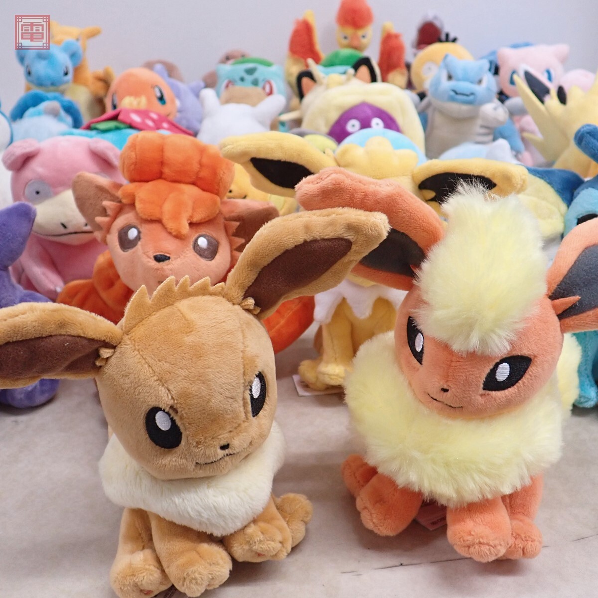 ポケモンセンター pokemon fit カントー地方 ぬいぐるみ まとめ ポケモンセンター pokemon fit カントー地方 ぬいぐるみ まとめ