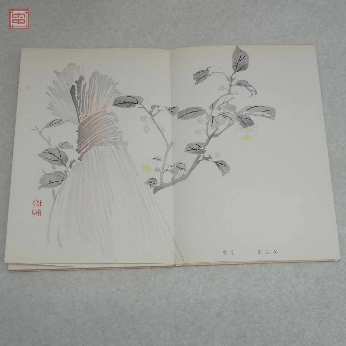 定番の中古商品 Amazon.co.jp: 古書 習画百題 全5冊 木版彩色摺 定番の中古商品 Amazon.co.jp: 古書 習画百題 全5冊 木版彩色摺