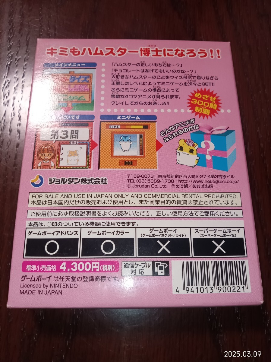 □難あり新品□　ハムスター倶楽部　おしえまチュー