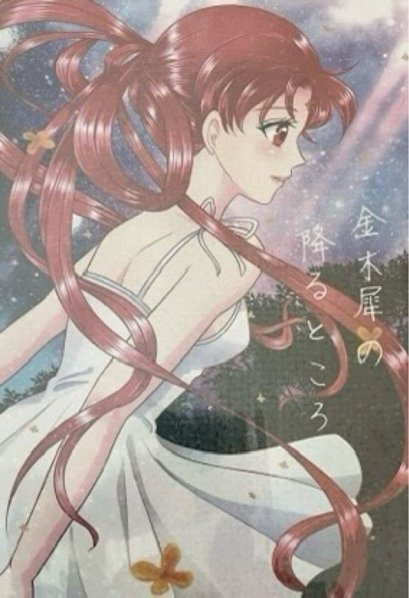美少女戦士セーラームーン ノラグマ 同人誌 スターライツ 星野光 美少女戦士セーラームーン ノラグマ 同人誌 スターライツ 星野光