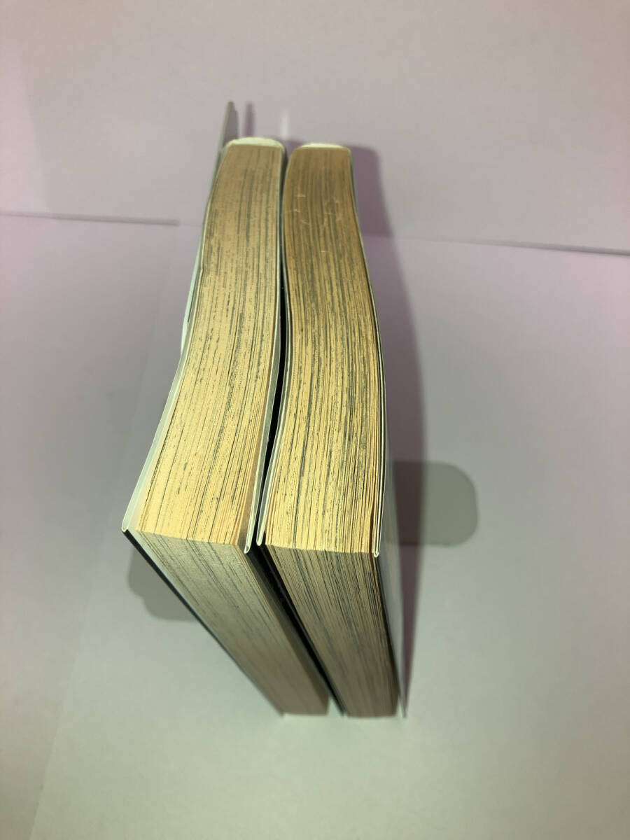 中原とも さわってウフフ… めざめてウフフ… 2冊(cè)セット