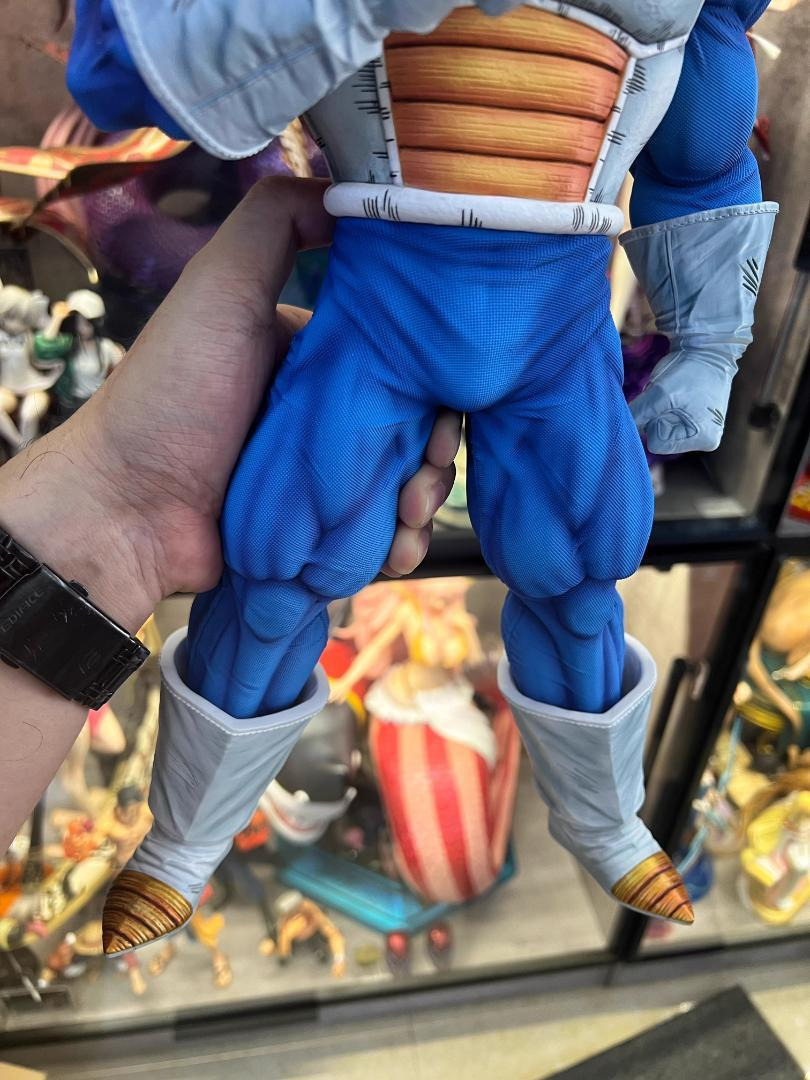 ドラゴンボール スーパーベジータ ガレージキット フィギュア 1 ドラゴンボール スーパーベジータ ガレージキット フィギュア 1
