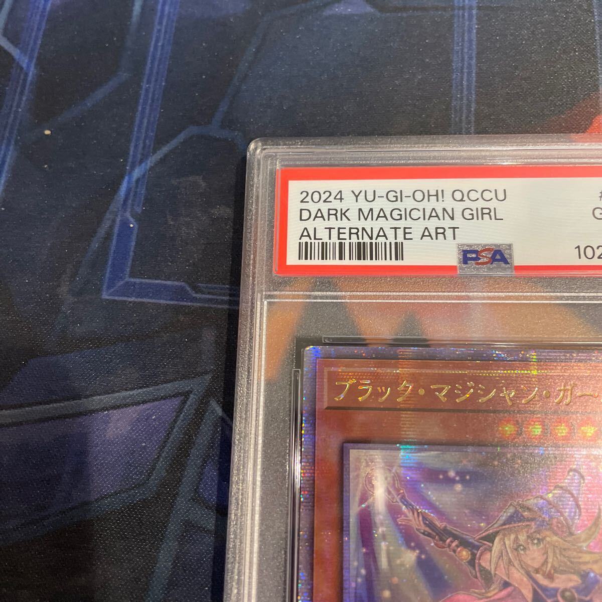 遊戯王 アジア版 PSA10 ブラックマジシャンガール(シングル 遊戯王 アジア版 PSA10 ブラックマジシャンガール(シングル