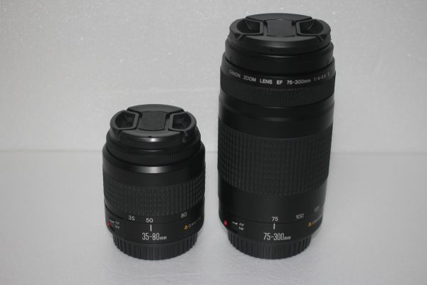 * первоклассный прекрасный товар * Canon Canon EOS 70D стандарт & взгляд издалека двойной линзы комплект повторный 