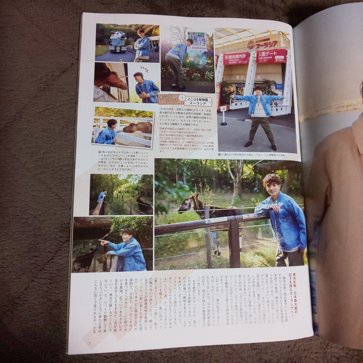 切り抜き無し★表紙 SixTONES 髙地優吾★雑誌 横浜 LOVE Walker 2024年 冬号★横浜 ラブ ウォーカー 高地優吾_画像5