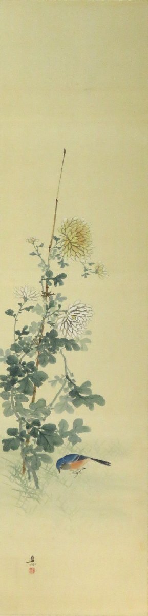 ◇◇掛軸 深田直城(HUKADA-Chokujo 滋賀-大阪1861-1947) 菊花小 ◇◇掛軸 深田直城(HUKADA-Chokujo 滋賀-大阪1861-1947) 菊花小