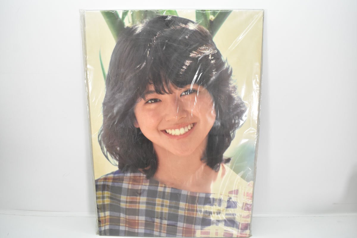 パネルポスター 小泉今日子 Yahoo!オークション - 小泉今日子 木製 パネル ポスター 57×40cm