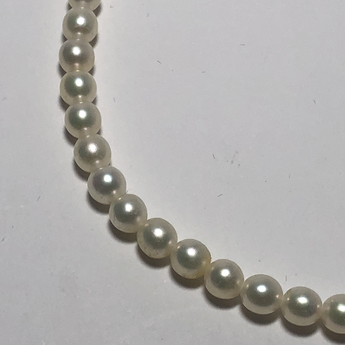 あこや真珠】ベビーパール 4mm 41-44cm 本真珠 照り◎ ベビー あこや真珠】ベビーパール 4mm 41-44cm 本真珠 照り◎ ベビー