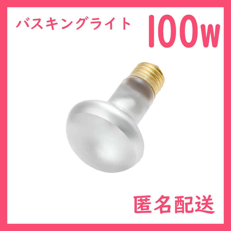 100W★バスキングライト1個(gè)(爬蟲(chóng)類ライト)タイトビームB0061