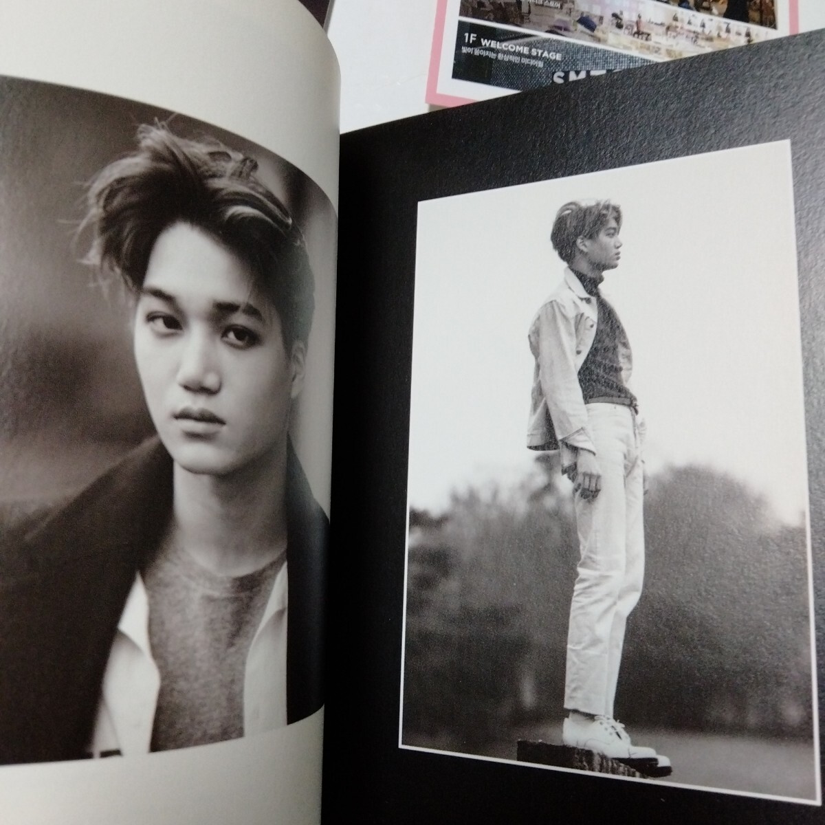 送料込み EXO CD トレカ スホ 2集 EXODUS カイ 10曲 Korean 韓国