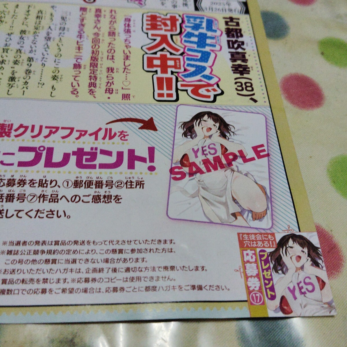 生徒会にも穴はある！　クリアファイル　懸賞　当選品 Amazon.co.jp: 生徒会にも穴はある！ クリアファイル 3枚セット