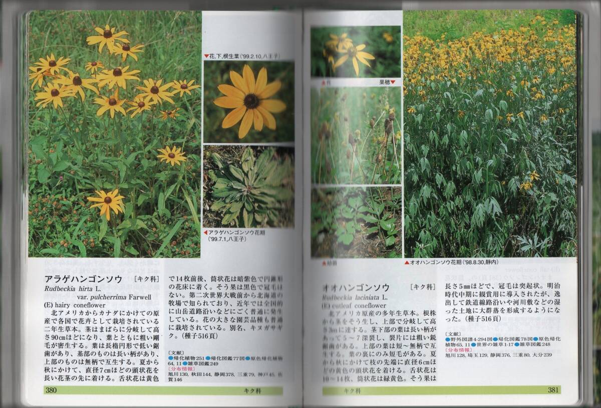★日本帰化植物写真図鑑: Plant invader600種★清水 矩宏 / 森田 弘彦 / 廣田 伸七 (編・著)★全国農村教育協会★クリックポスト★_画像5