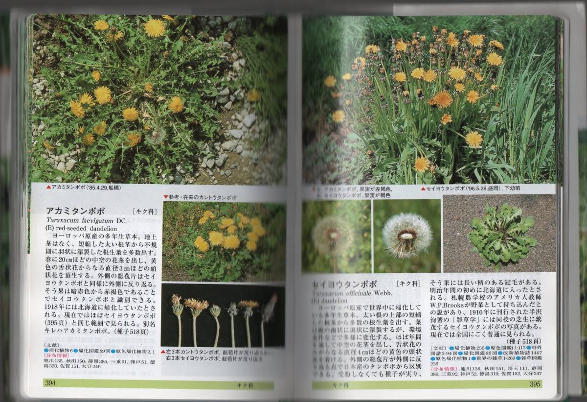 ★日本帰化植物写真図鑑: Plant invader600種★清水 矩宏 / 森田 弘彦 / 廣田 伸七 (編・著)★全国農村教育協会★クリックポスト★_画像7