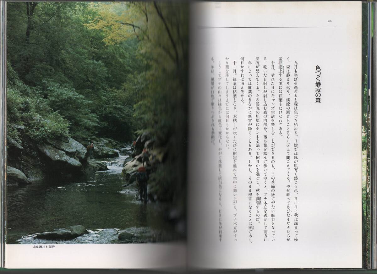 ★ブナ原生林 白神逍遙★根深 誠【著】★立風書房★クリックポスト★_画像8