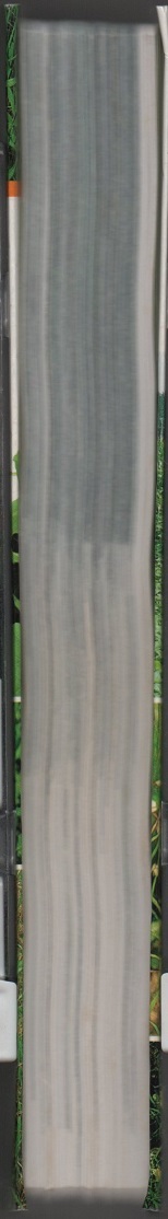 ★日本帰化植物写真図鑑: Plant invader600種★清水 矩宏 / 森田 弘彦 / 廣田 伸七 (編・著)★全国農村教育協会★クリックポスト★_画像4