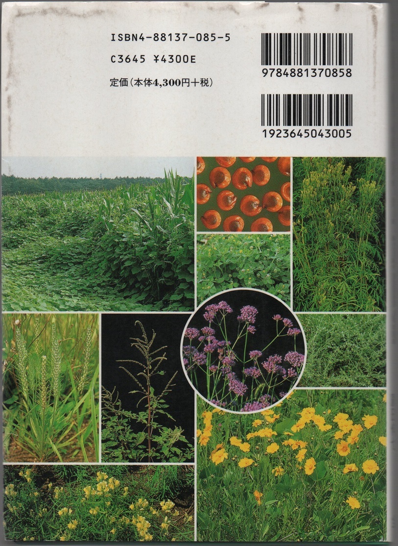 ★日本帰化植物写真図鑑: Plant invader600種★清水 矩宏 / 森田 弘彦 / 廣田 伸七 (編・著)★全国農村教育協会★クリックポスト★_画像2