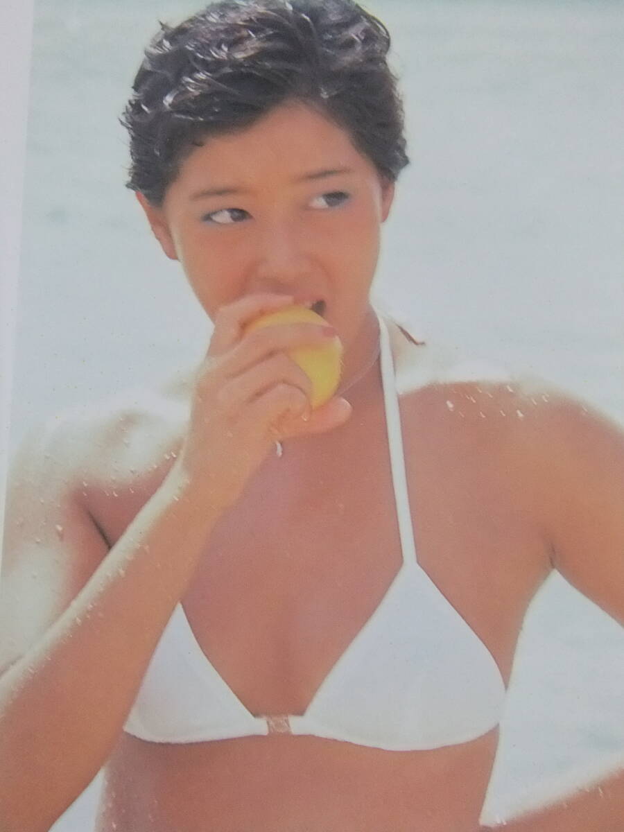 △B1138/【水着写真集】/夏目雅子写真集『Memories of Masako △B1138/【水着写真集】/夏目雅子写真集『Memories of Masako