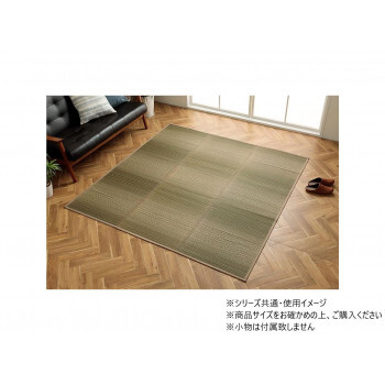 い草ラグ カーペット NSナセル 180×240cm GN 1061950124104 /a