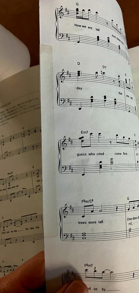 ★ BEEGEES ビージーズ BEE GEES ピアノ やさしく弾ける ビージーズ ピアノソロアルバム_画像4