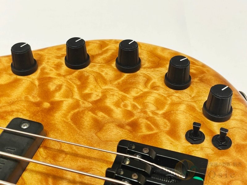 [超美品] Elrick Platinum Series e-volution 5st 【セミオーダー品/Elrick最上位機種】 [NLR16]【箕面店在庫】