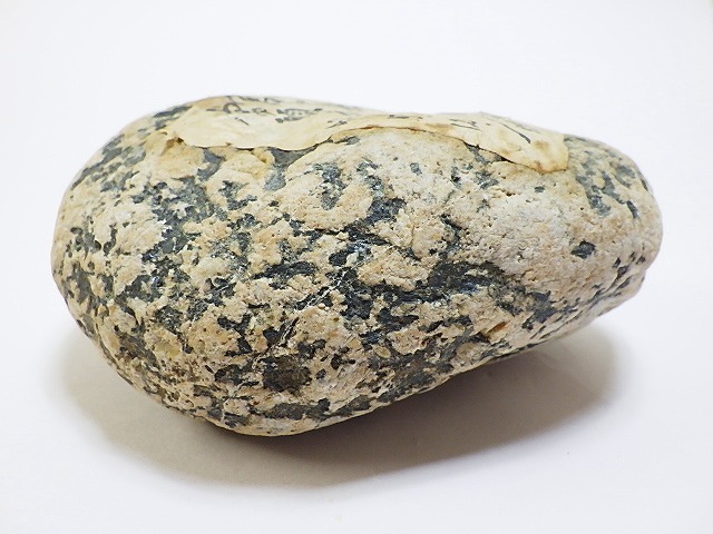 富山県常願寺川産ナポレオン石42.5キロ庭石鑑賞石石置物オブジェ