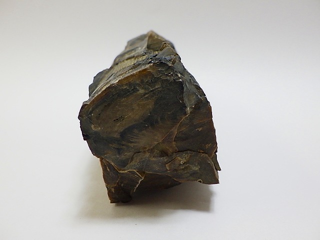 ☆ 天然石 鑑賞石 黒珪化木 木化石 ② 約635g 観賞石 ☆ 天然石 鑑賞石 黒珪化木 木化石 ② 約635g 観賞石
