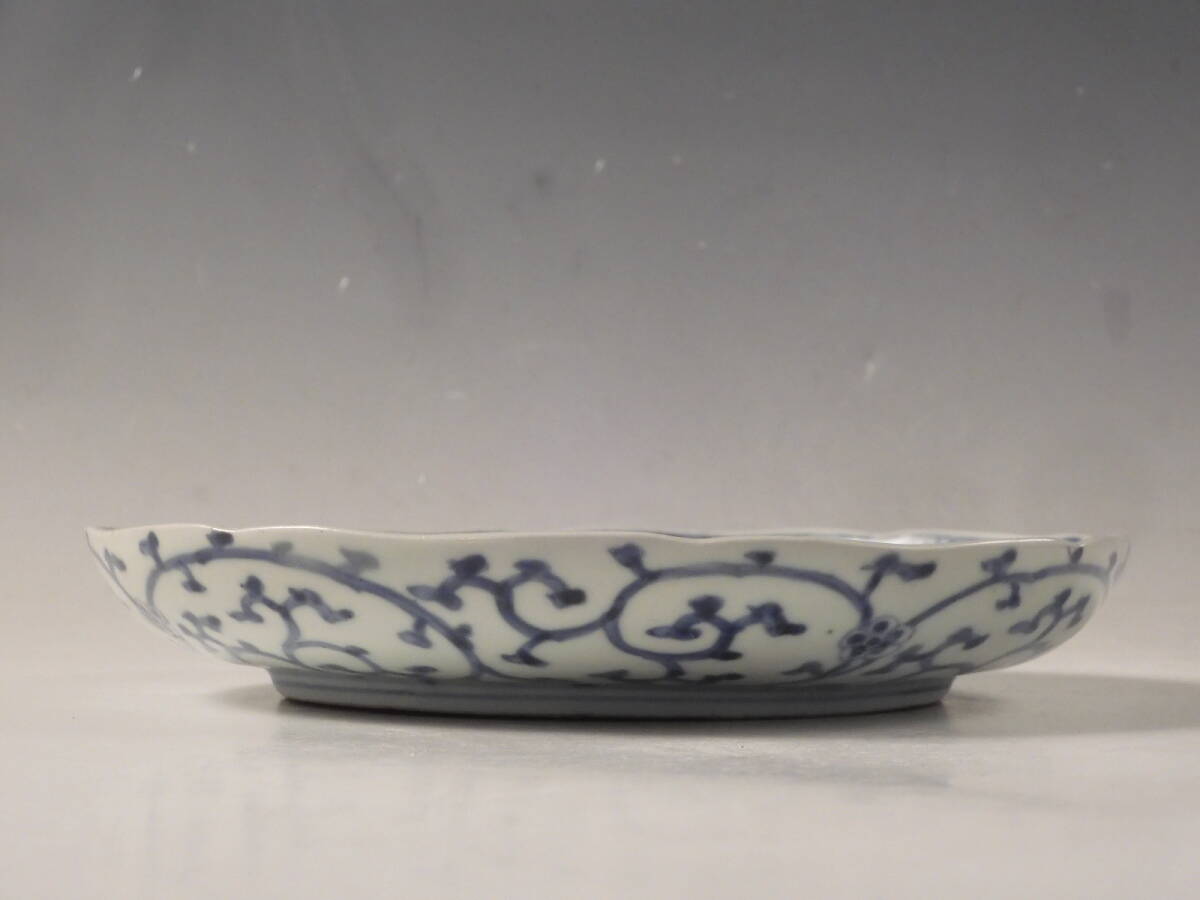 ◇堂◇古伊万里 染付 芭蕉 蛸唐草文 渦福 飾皿 無傷完品 江戸期
