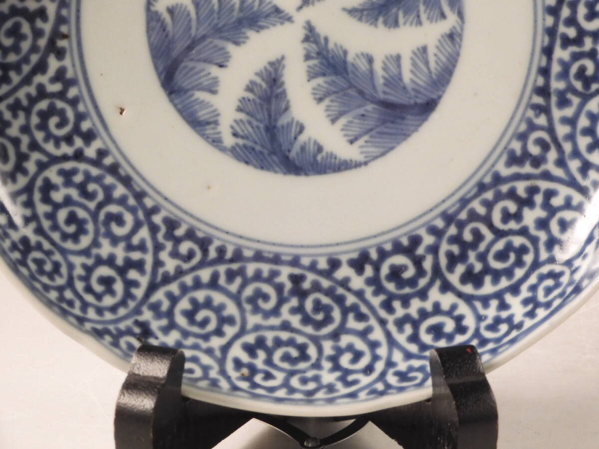 ◇堂◇古伊万里 染付 芭蕉 蛸唐草文 渦福 飾皿 無傷完品 江戸期