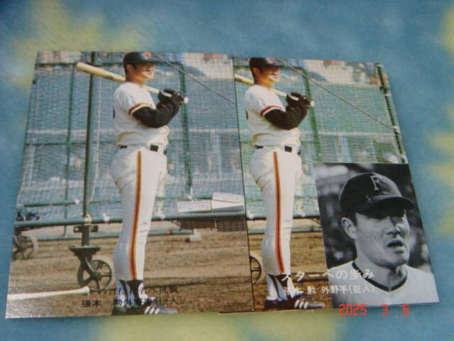  очень редкий Calbee '75&'76 год Professional Baseball карта NO.454&NO.93 (.книга@|. человек ) фотография поверхность часть такой же фотография ) (2 шт. комплект )
