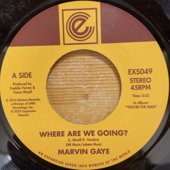 MARVIN GAYE WHERE ARE WE GOING? / WOMAN OF THE WORLD 45's 7インチ