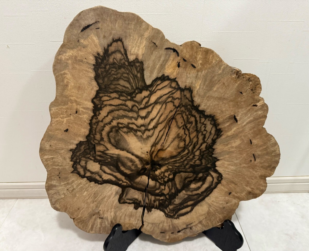 黒柿 花台 孔雀杢 51×48×1.7~6.3cm 木材 板材 置物 インテリア 黒柿 花台 孔雀杢 51×48×1.7~6.3cm 木材 板材 置物 インテリア