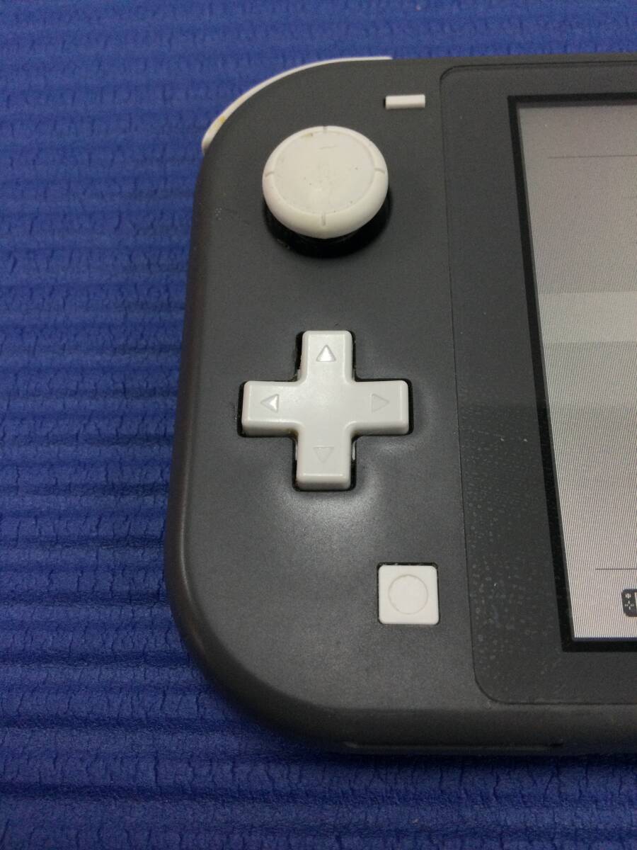 Nintendo Switch Lite グレー 本体 ジャンク Nintendo Switch