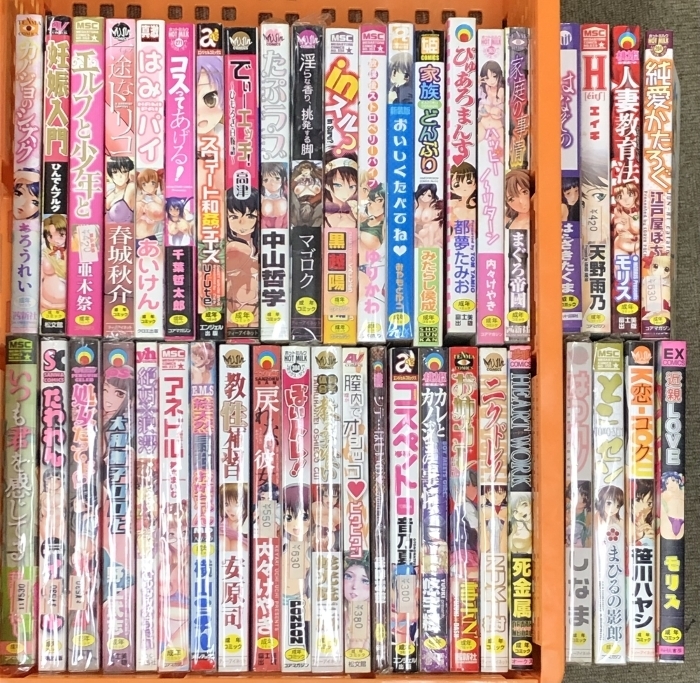 4 アダルト コミック まとめて 40冊(cè)以上 セット あいけん 黒越陽(yáng) 死金屬 內(nèi)々けやき まぐろ帝國(guó) 他