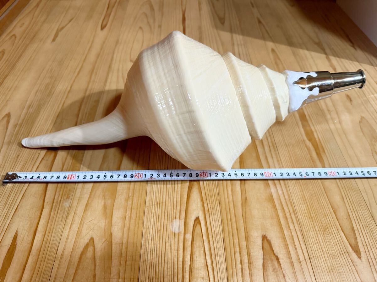 特大53.5㎝アラフラオオニシ法螺貝 ほら貝 ホラガイ爆音ですよ 特大53.5㎝アラフラオオニシ法螺貝 ほら貝 ホラガイ爆音ですよ