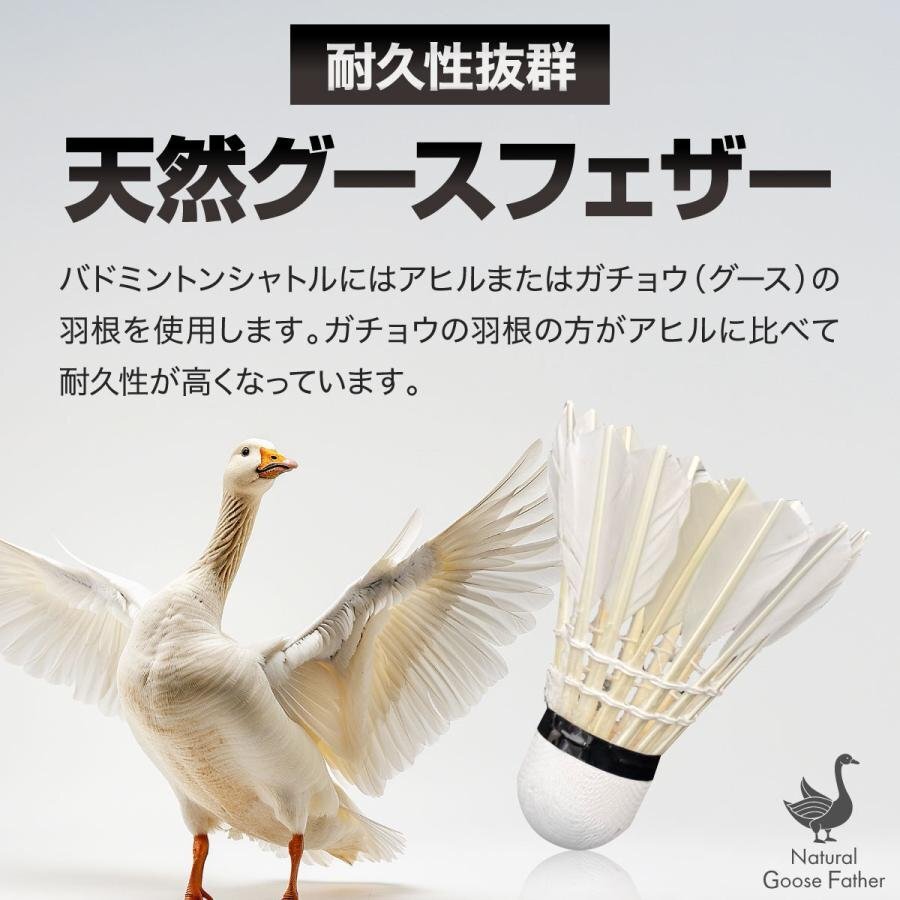 FLYER AAAA 羽根シャトル 12個入り 8ダース｜バドミントン