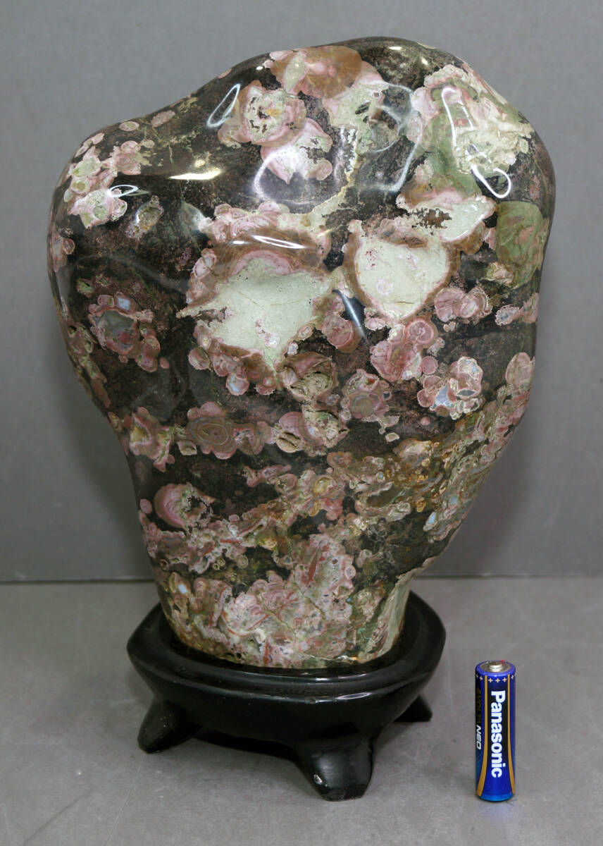 牡丹石 梅花石 5.6Kg 鑑賞石 (原石)|売買されたオークション 牡丹石 梅花石 5.6Kg 鑑賞石 (原石)|売買されたオークション